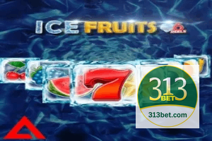 313BET ajuda online — chat de suporte no aplicativo oficial