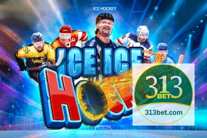 313BET feedback — categorias de sugestão e melhoria no app