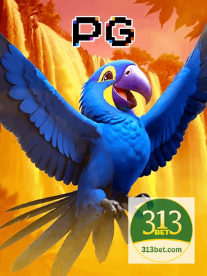 313BET bônus — cashback 15 por cento e níveis VIP